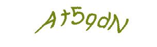 عبارت امنیتی