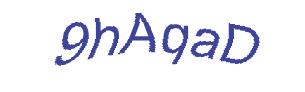 عبارت امنیتی