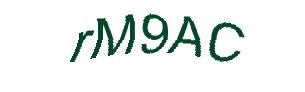 عبارت امنیتی