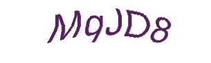 عبارت امنیتی