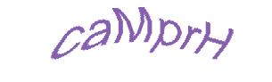 عبارت امنیتی