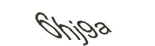 عبارت امنیتی