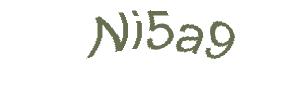 عبارت امنیتی