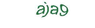 عبارت امنیتی
