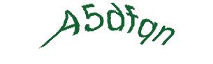 عبارت امنیتی