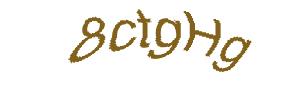 عبارت امنیتی