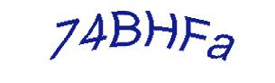 عبارت امنیتی