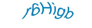 عبارت امنیتی