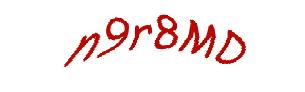 عبارت امنیتی