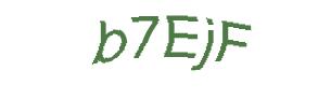 عبارت امنیتی