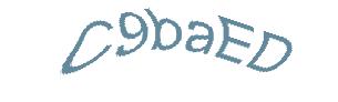 عبارت امنیتی