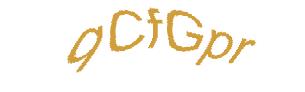 عبارت امنیتی