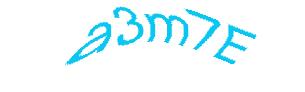 عبارت امنیتی