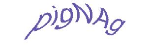 عبارت امنیتی