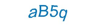 عبارت امنیتی