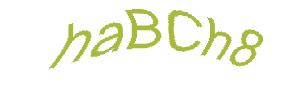 عبارت امنیتی