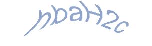 عبارت امنیتی