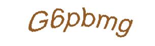 عبارت امنیتی