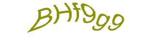 عبارت امنیتی