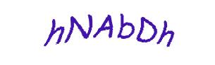 عبارت امنیتی