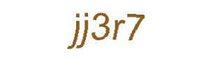 عبارت امنیتی
