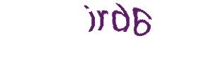 عبارت امنیتی