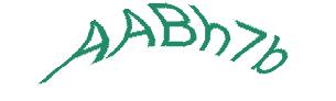 عبارت امنیتی