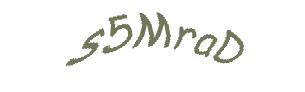 عبارت امنیتی