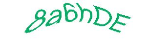 عبارت امنیتی