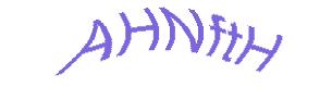 عبارت امنیتی