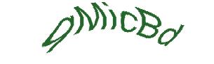 عبارت امنیتی