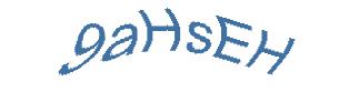 عبارت امنیتی