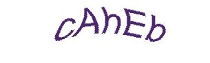 عبارت امنیتی