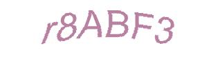 عبارت امنیتی