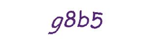 عبارت امنیتی