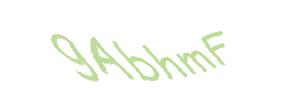 عبارت امنیتی