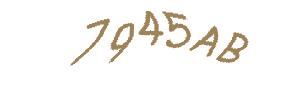 عبارت امنیتی