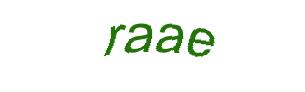 عبارت امنیتی
