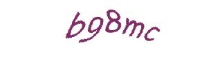 عبارت امنیتی