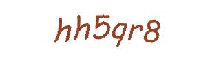 عبارت امنیتی