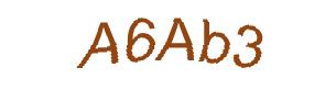 عبارت امنیتی