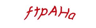 عبارت امنیتی