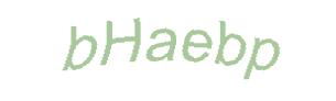 عبارت امنیتی
