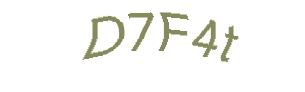 عبارت امنیتی