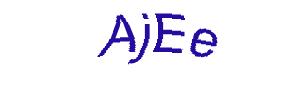 عبارت امنیتی