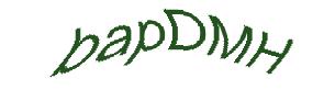 عبارت امنیتی