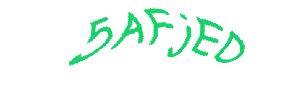 عبارت امنیتی