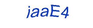 عبارت امنیتی