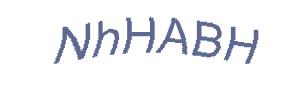 عبارت امنیتی