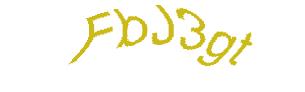 عبارت امنیتی